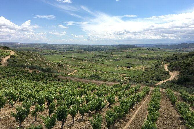 a-sip-by-sip-tour-of-3-boutique-rioja-family-wineries-private-tour-with-lunch