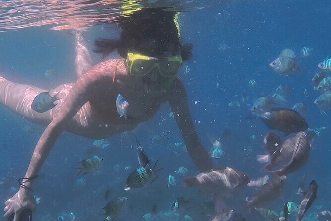 A snorkelling tour to Cebus Hilutungan - Who Is This Tour Best For?