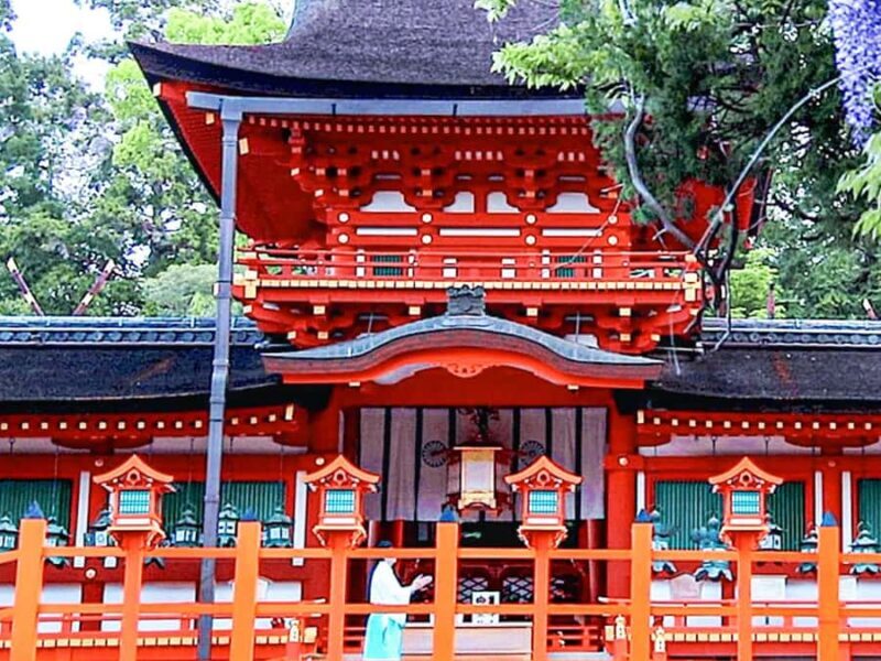 A Thousand Blossoms & Deer: Nara Spring Day Tour - The Sum Up