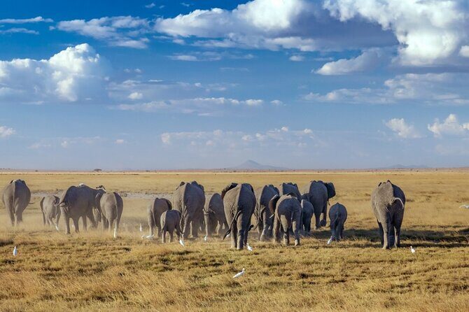 A thrilling Kenya 4 Days Adventure: Masai Mara &Lake Nakuru - Lodging and Meals
