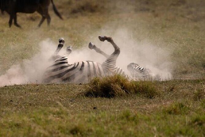 A thrilling Kenya 4 Days Adventure: Masai Mara &Lake Nakuru - Practical Tips for the Trip