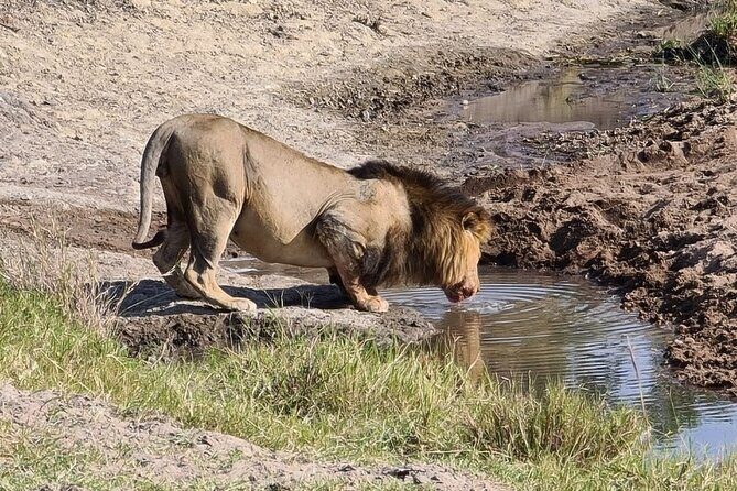 A thrilling Kenya 4 Days Adventure: Masai Mara &Lake Nakuru - Who is This Tour Perfect For?