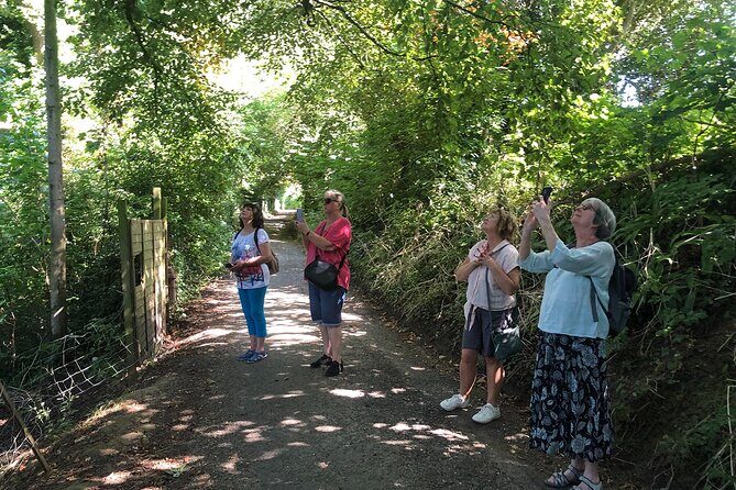 A Tour of Glastonbury, Guided by the Trees. - What Reviewers Say