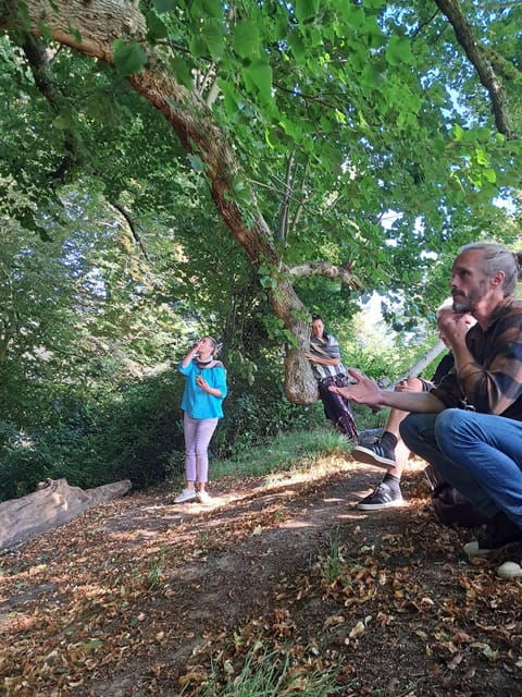 a-tour-of-glastonbury-guided-by-the-trees