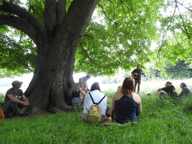 a-tour-of-glastonbury-guided-by-the-trees