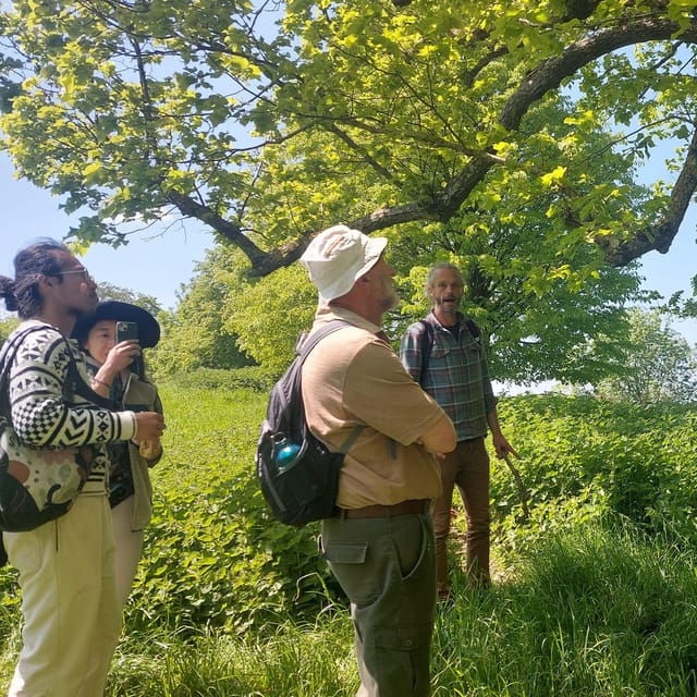 a-tour-of-glastonbury-guided-by-the-trees