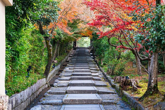 a-tour-to-explore-kyotos-autumn-foliage-at-kiyomizu-dera-temple
