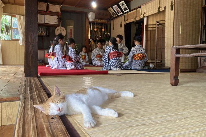 a-traditional-tatami-room-dance-by-sumiyoshi-shachu-kagoshima