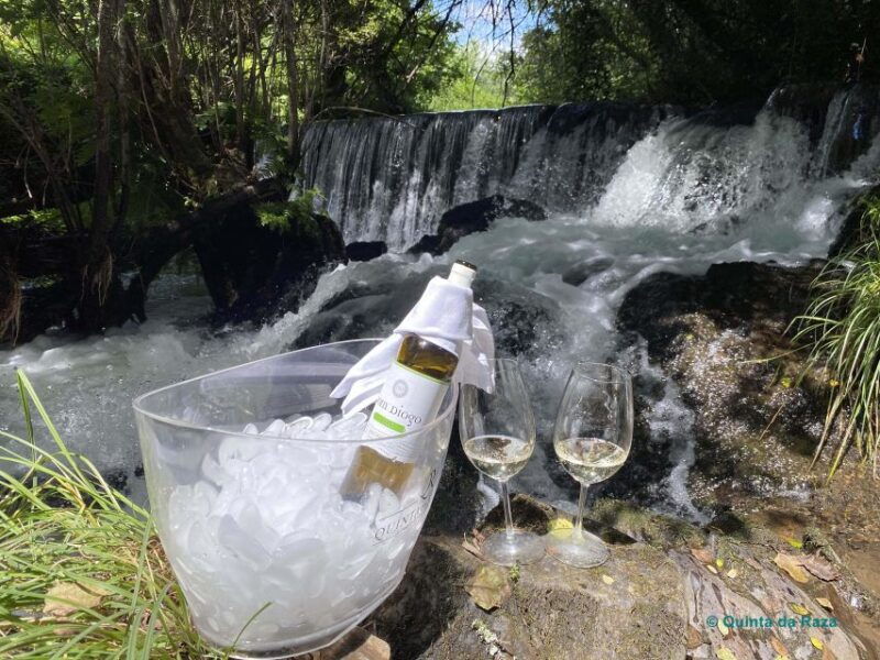 a-trip-through-the-green-wines-of-the-basto-region