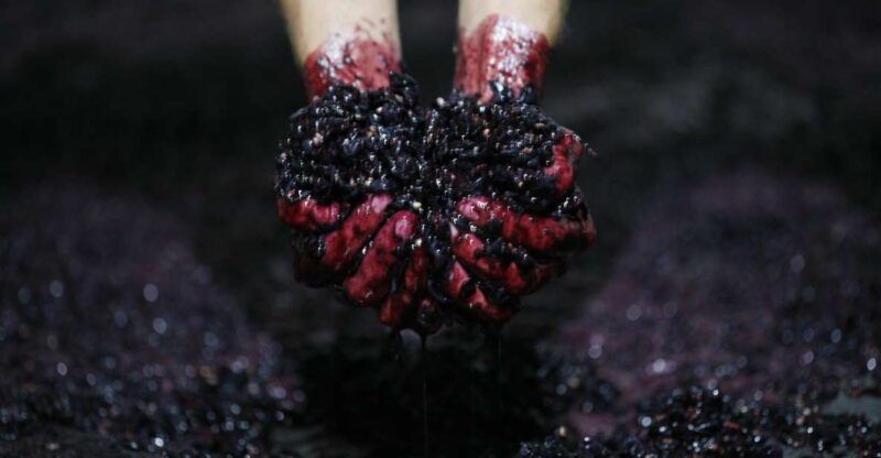 a-trip-through-the-green-wines-of-the-basto-region