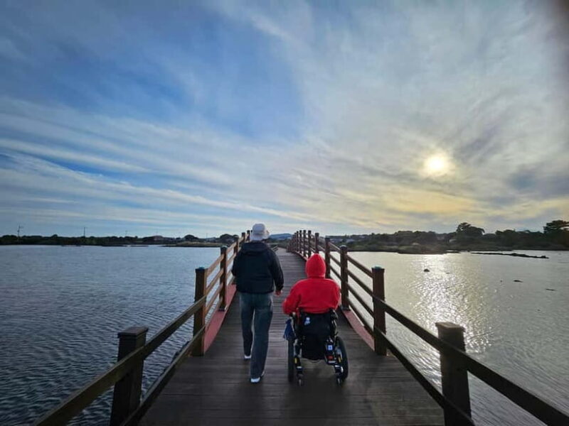 a trip to Jeju Island in a wheelchair (WHEELCHAIR TOUR) - An in-depth look at the Jeju wheelchair tour experience  