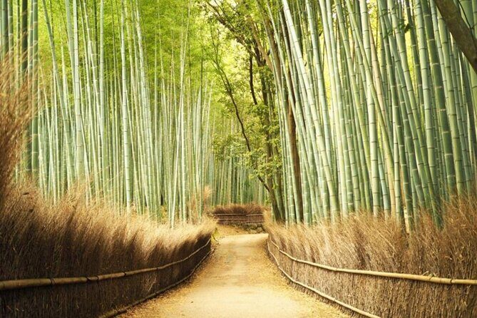 A trip to Kyoto and Osaka in one day - The Practicality of a One-Day Kyoto and Osaka Tour