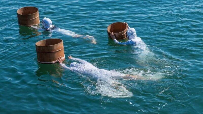 A trip to visit Ise Grand Shrine and experience Ama culture - The Sum Up