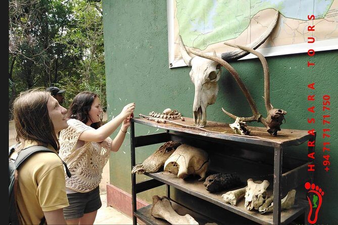 A Udawalawa Park safari, Tour from Colombo/Galle- (All inclusive) - Who Will Love This Tour?