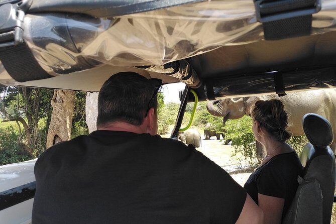 A Udawalawa Park safari, Tour from Colombo/Galle- (All inclusive) - FAQ: Practical Questions Answered