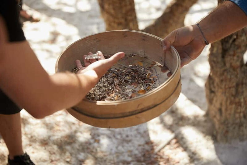 A unique Mastiha trip to Chios Island - Final Thoughts