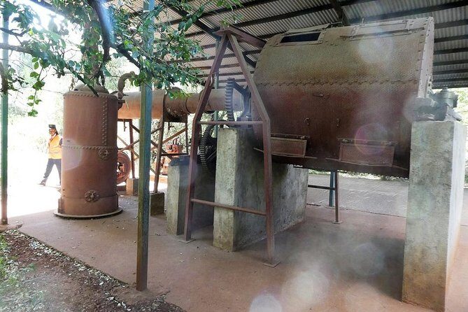 A visit to Karen Blixen Museum - Scenic Views of Ngong Hills  