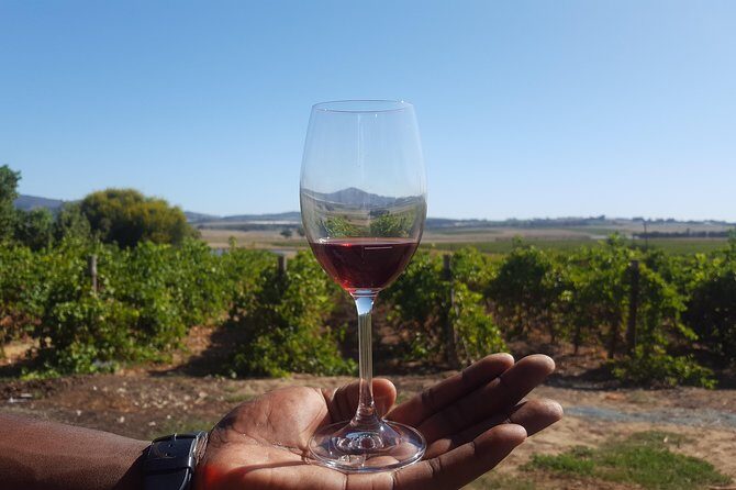 A Visit To Stellenbosch Franschoek Paarl Wineries From Cape Town Full Day - Key Points