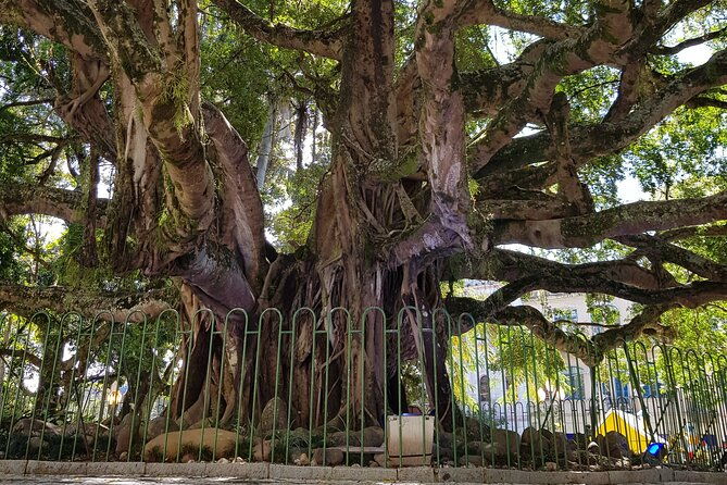 a-walk-through-the-center-of-floripa