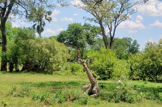A Walking Safari in the Mosi -oa - Tunya National Park - Who Should Consider This Tour?