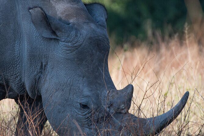 A Walking Safari in the Mosi -oa - Tunya National Park - FAQ