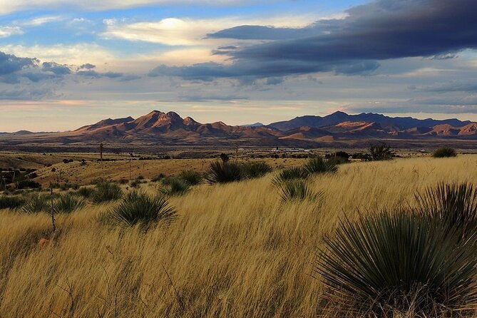 a-wine-tasting-experience-in-the-vineyards-of-the-desert-2