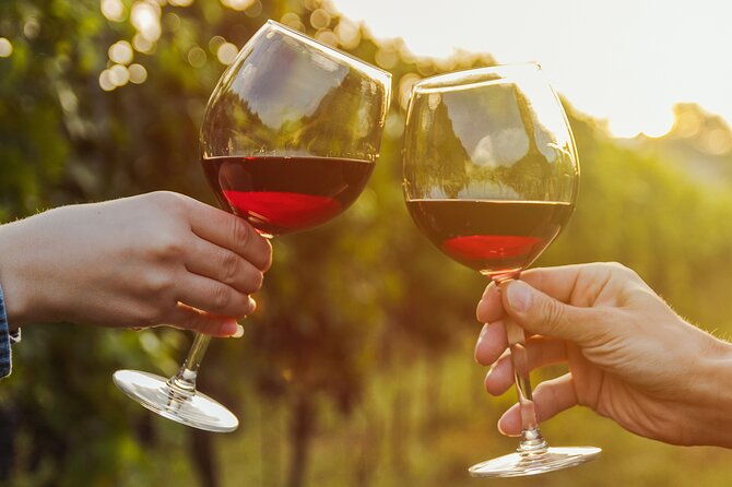 a-wine-tasting-experience-in-the-vineyards-of-the-desert