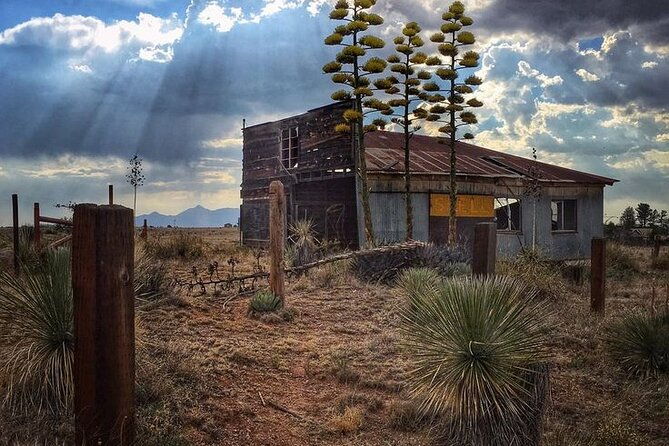 a-wine-tasting-experience-in-the-vineyards-of-the-desert