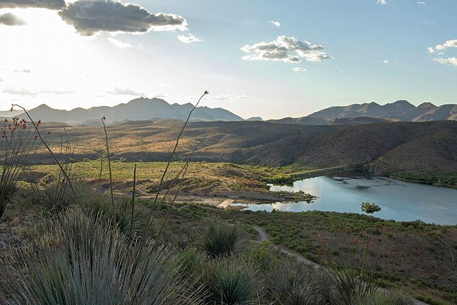 a-wine-tasting-experience-in-the-vineyards-of-the-desert