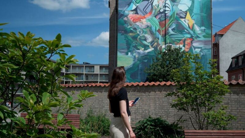 aalborg-street-art-explore-79-wall-paintings