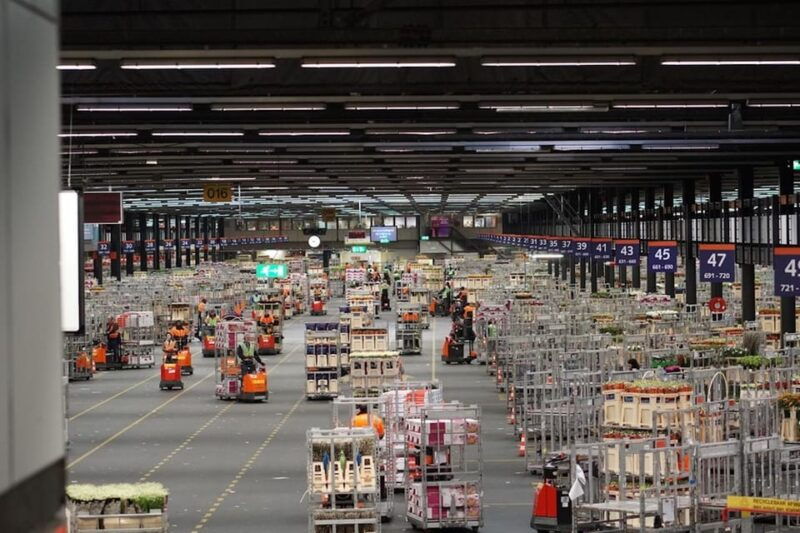 aalsmeer-flower-auction-royal-flora-holland-entry-ticket