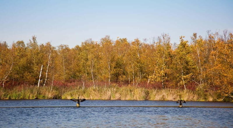 Aalsmeer: Traditional Dutch Barge Lake Cruise - The Experience: Quality and Value