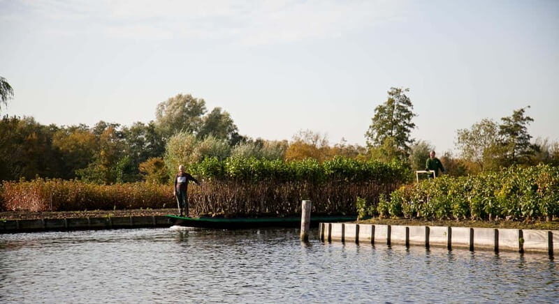 Aalsmeer: Traditional Dutch Barge Lake Cruise - Practical Tips for Your Trip