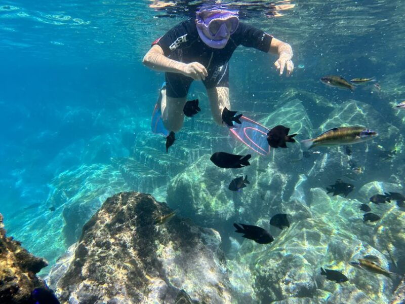abades-guided-snorkeling-tour-with-photos