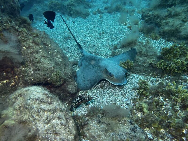 abades-guided-snorkeling-tour-with-photos