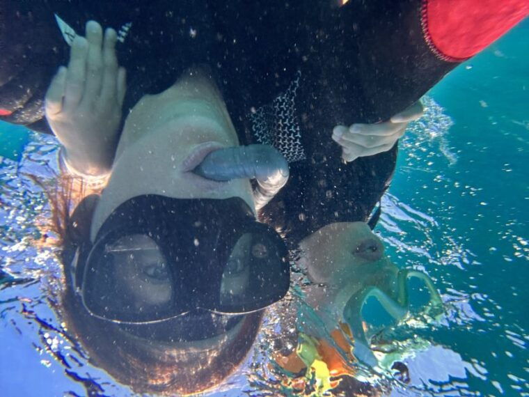 abades-guided-snorkeling-tour-with-photos