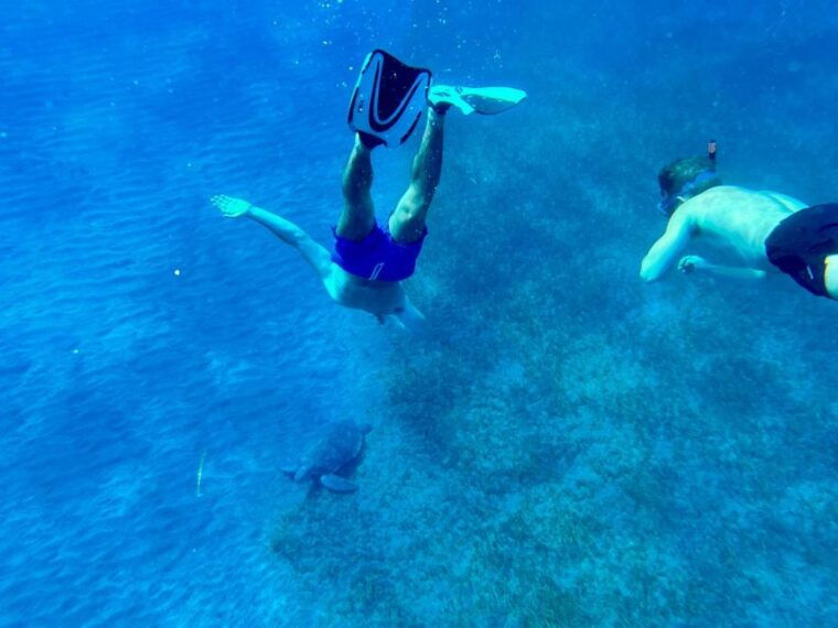 abades-guided-snorkeling-tour-with-photos