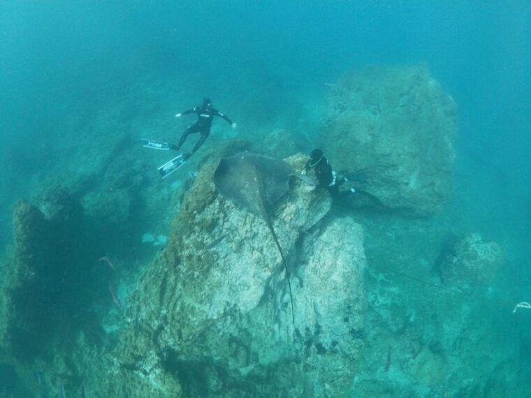 abades-tenerife-turtles-and-rays-snorkeling-trip
