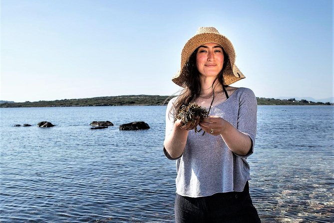 abalone-farm-tour-and-tasting-with-coastal-seaweed-walk-guided-2-hours