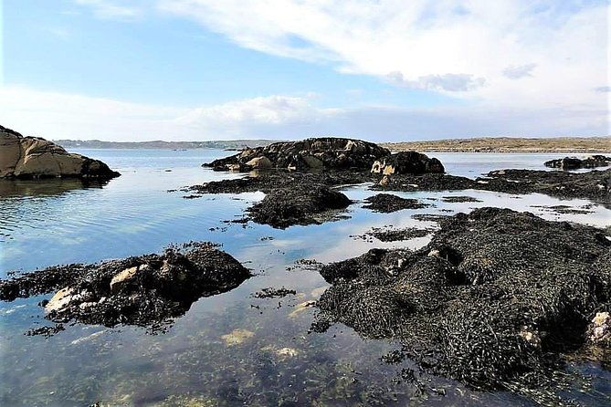 abalone-farm-tour-and-tasting-with-coastal-seaweed-walk-guided-2-hours