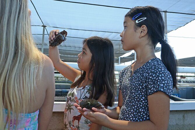 Abalone Farm Tour - Exploring the Details: What the Tour Offers