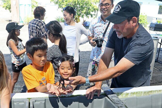 Abalone Farm Tour - Authentic Experiences and Why They Matter