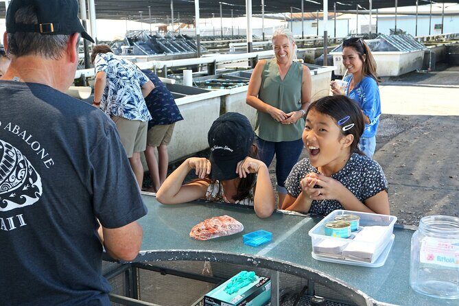 Abalone Farm Tour - The Sum Up: Is the Abalone Farm Tour Worth It?