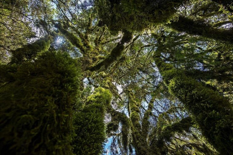 abancay-guided-trip-to-ampay-national-sanctuary-and-lagoons