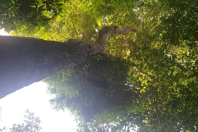 Abandoned Valley , Golden Cave and E Cave 1 Day Trek - What’s Included and What to Prepare