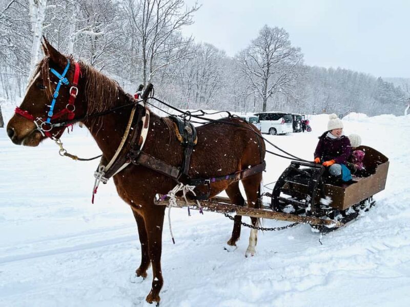 Abashiri: Horse-Drawn Sleigh Ride & Making Local Cuisine - Making Traditional Hokkaido Cuisine