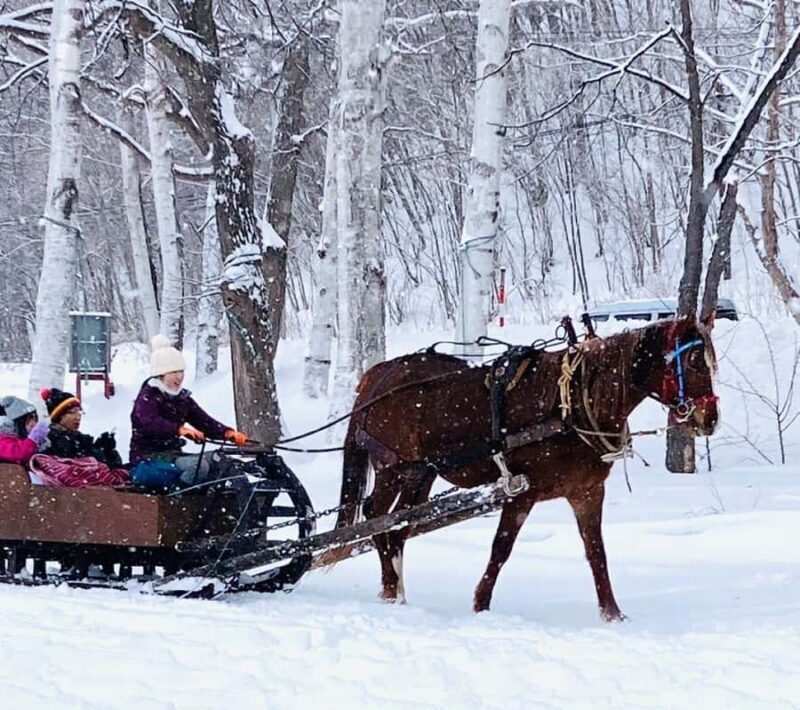 Abashiri: Horse-Drawn Sleigh Ride & Making Local Cuisine - Why This Experience Offers Good Value