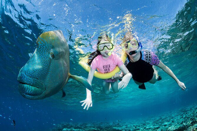 ABC Snorkel Charters Port Douglas Snorkelling max 12 passengers - Key Points