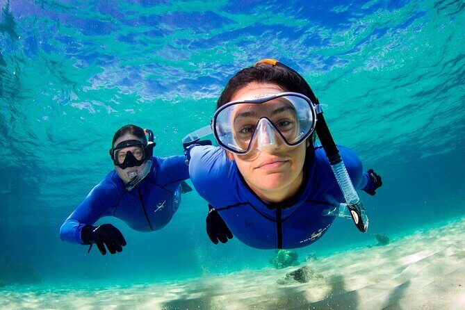 ABC Snorkel Charters Port Douglas Snorkelling max 12 passengers - Who will love this tour?