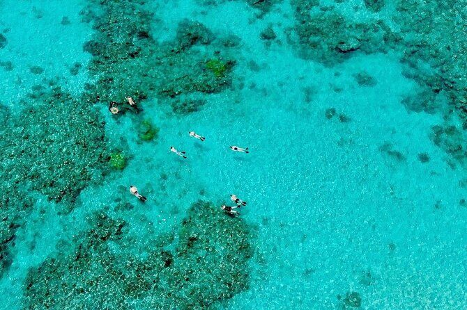 ABC Snorkel Charters Port Douglas Snorkelling max 12 passengers - Practical considerations